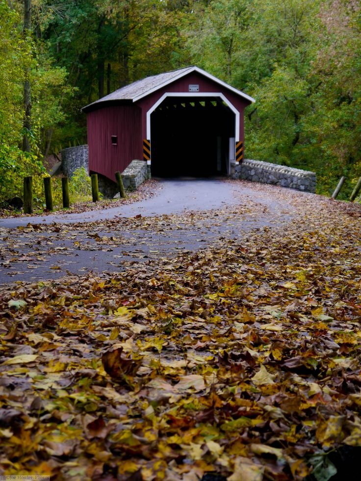 This may contain: a covered road with leaves on the ground and a red covered bridge in the background