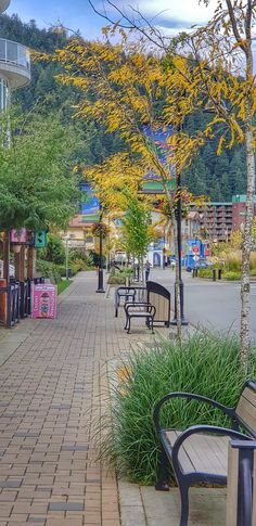 This may contain: two park benches sitting next to each other on a brick walkway in front of buildings