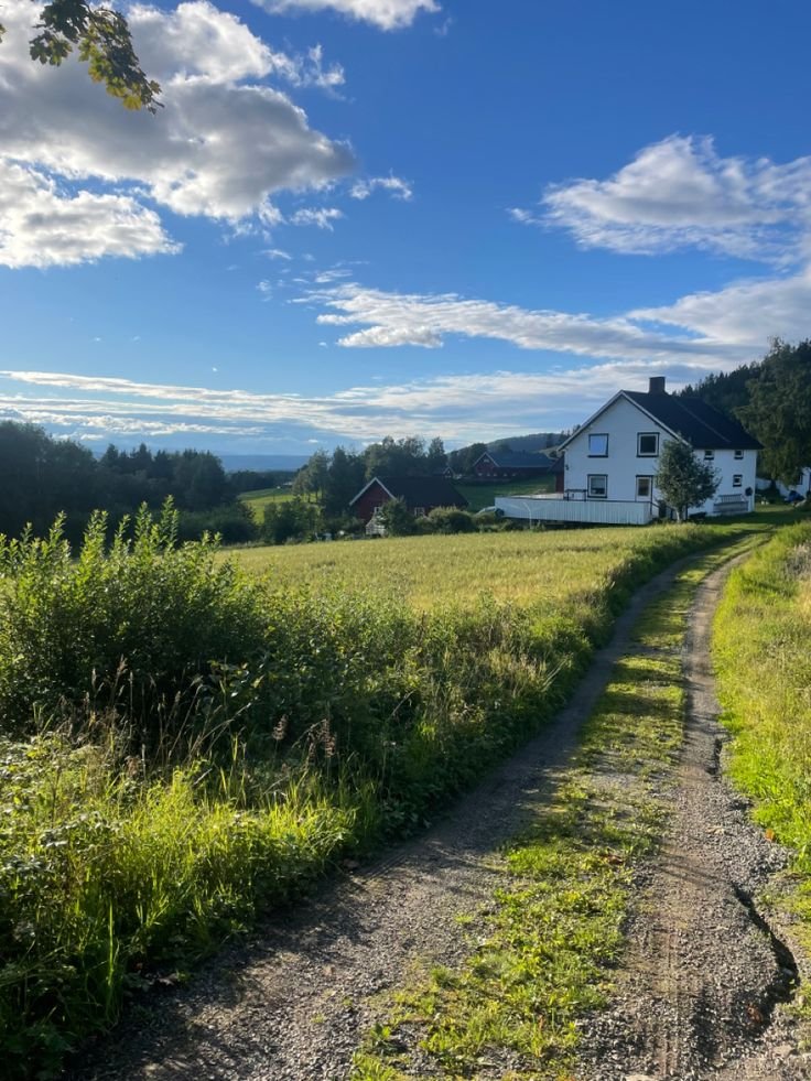 This may contain: a dirt road leading to a white house in the middle of a field with tall grass