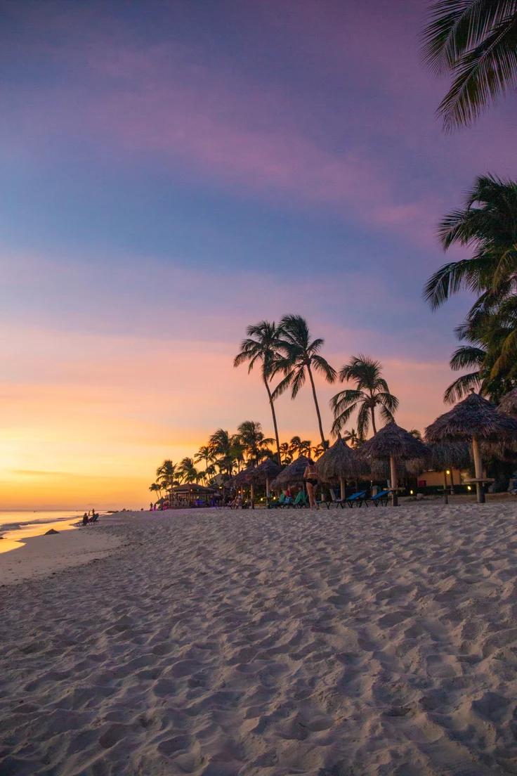This may contain: palm trees line the beach as the sun sets
