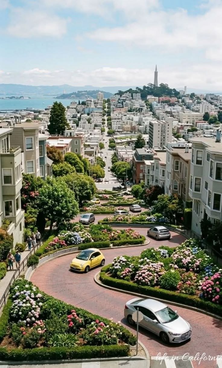 This may contain: an aerial view of a city with cars parked on the street and flowers in the front yard