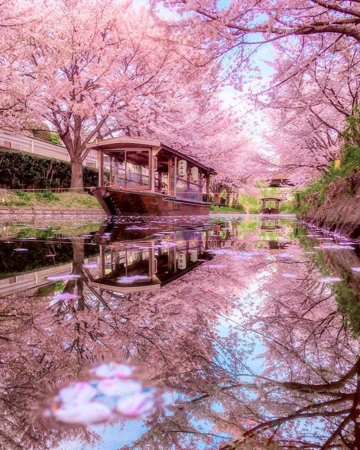 This may contain: a boat floating on top of a river surrounded by pink flowers and trees in the background