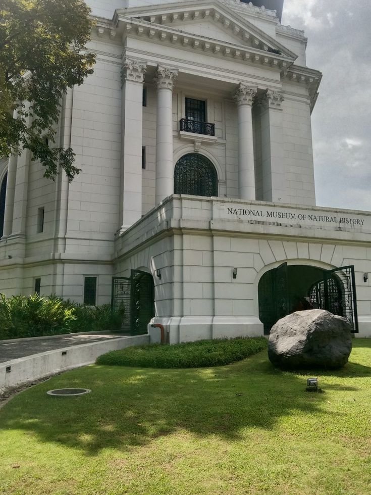 This may contain: the national museum of natural history is on display in front of a large white building