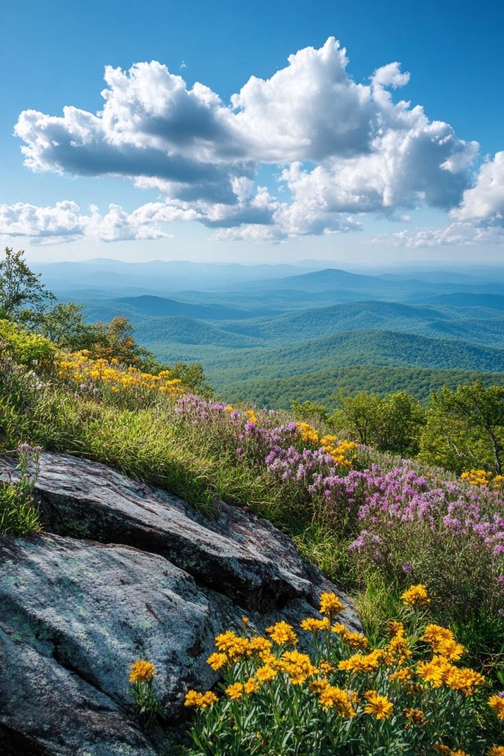 "🌲🚗 Explore the Blue Ridge Parkway! Swipe through our carousel to see lush landscapes, breathtaking views, and fall foliage along this scenic route through the Appalachian Mountains. 🍁🏞️ #BlueRidgeParkway #ScenicDrive #FallFoliage"