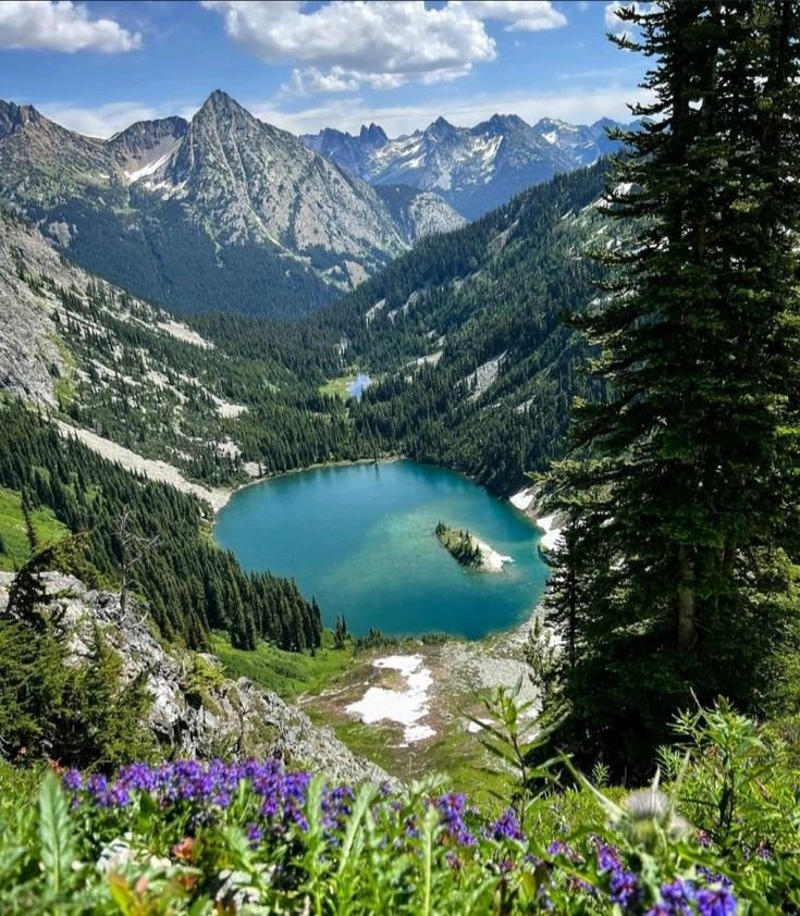 This may contain: a lake surrounded by mountains and trees with purple flowers in the foreground on a sunny day