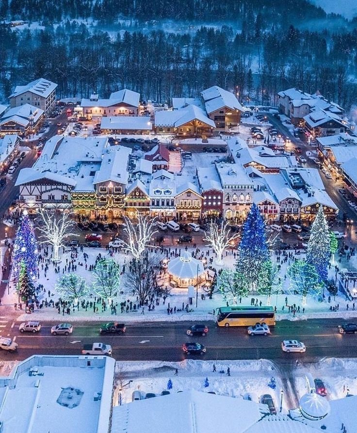 This may contain: an aerial view of a town at christmas time