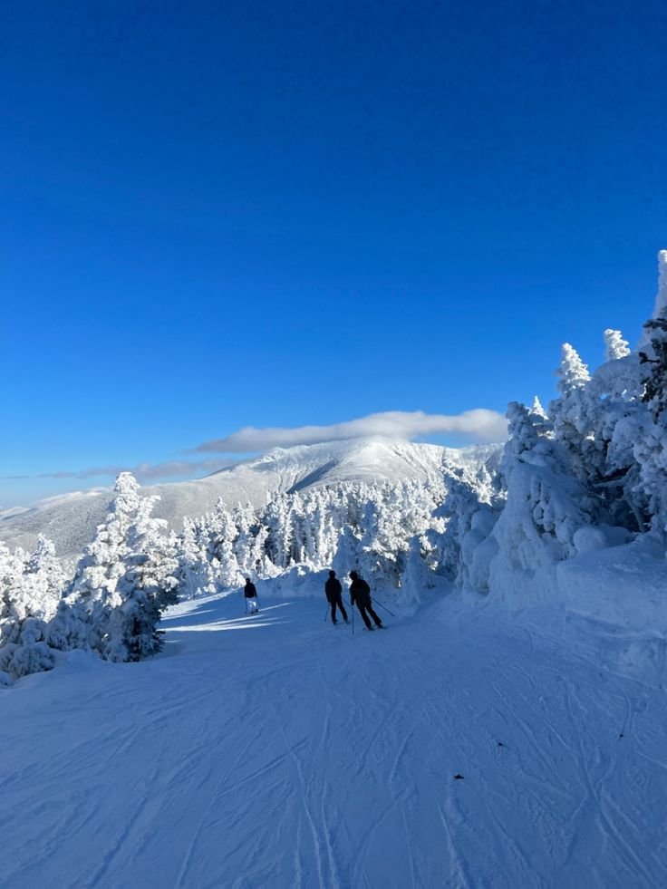 This may contain: two people skiing down a snow covered mountain side with trees in the foreground and clouds in the background