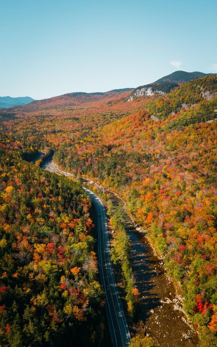 This may contain: an aerial view of a winding road surrounded by trees in the fall with colorful foliage