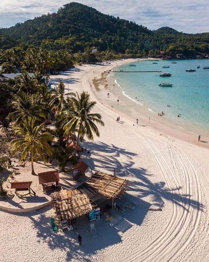 This may contain: an aerial view of a beach with palm trees and boats