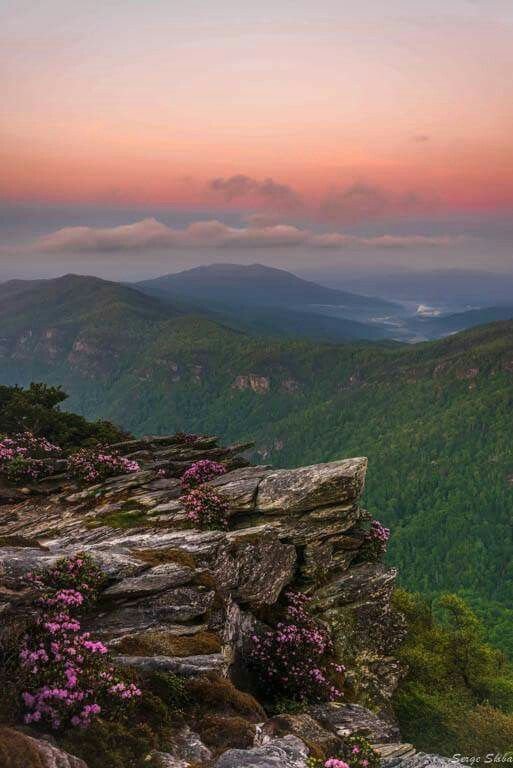 This may contain: the sun is setting at the top of a mountain with wildflowers growing on it
