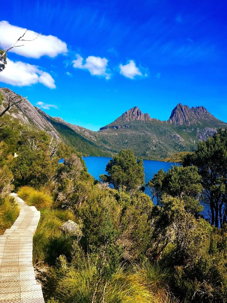 This may contain: a wooden path leading to a lake surrounded by trees and bushes with mountains in the background