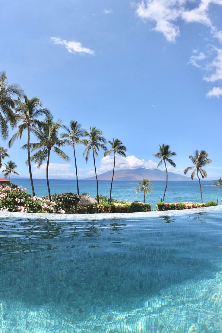 This may contain: an island with palm trees in the background and clear blue water on the bottom right