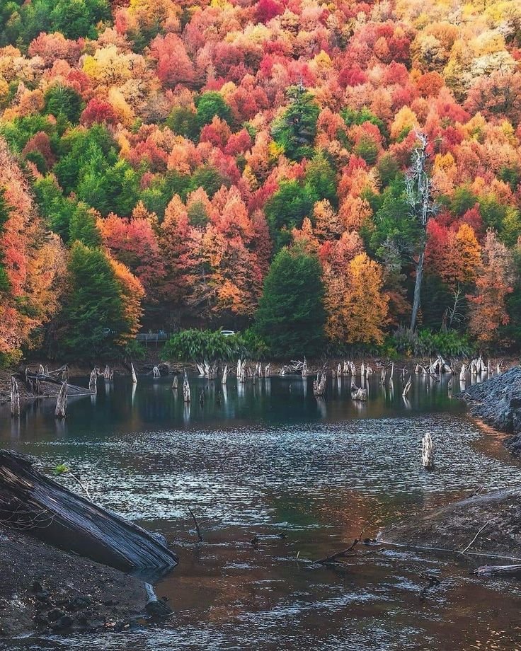 This may contain: the trees are changing colors in the fall and there is still water on the bank