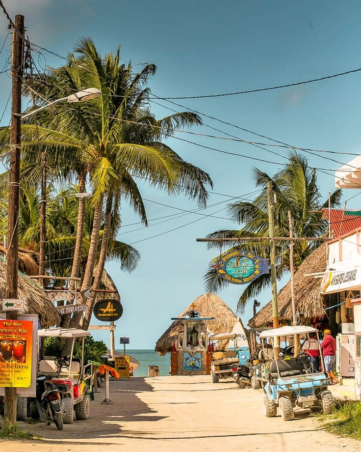 This may contain: a street lined with palm trees next to the ocean