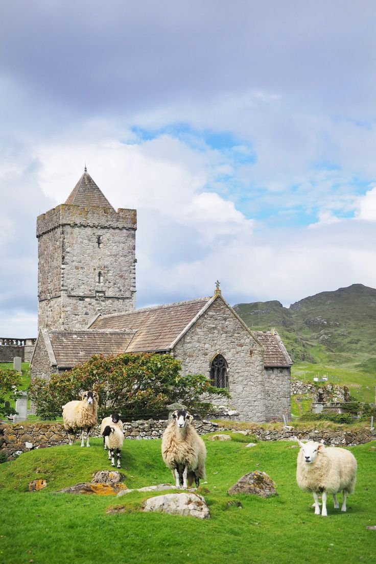 This may contain: sheep are grazing in front of an old church on the side of a grassy hill