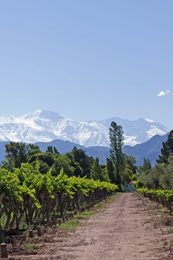 This may contain: a dirt road surrounded by trees and mountains in the distance with snow - capped mountains in the background