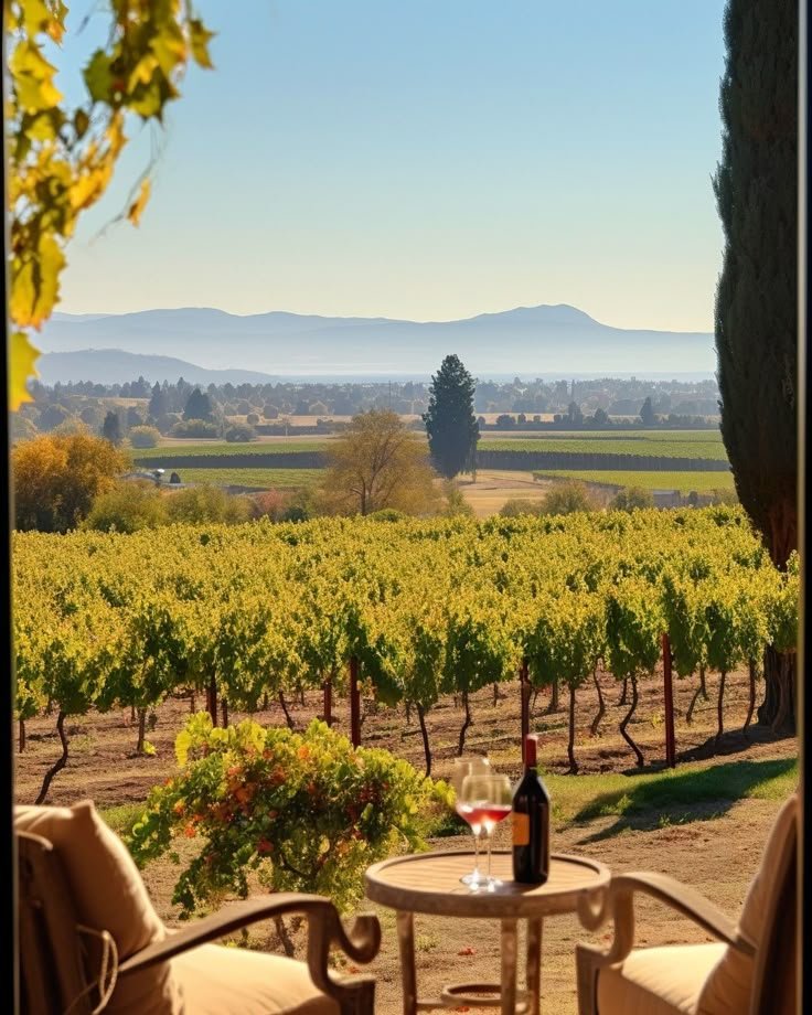 This may contain: two chairs and a table in front of a vineyard