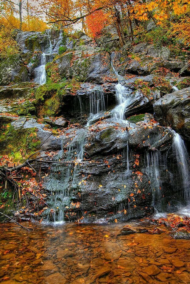 This may contain: a small waterfall in the middle of a forest filled with trees and leaves, surrounded by fall foliage