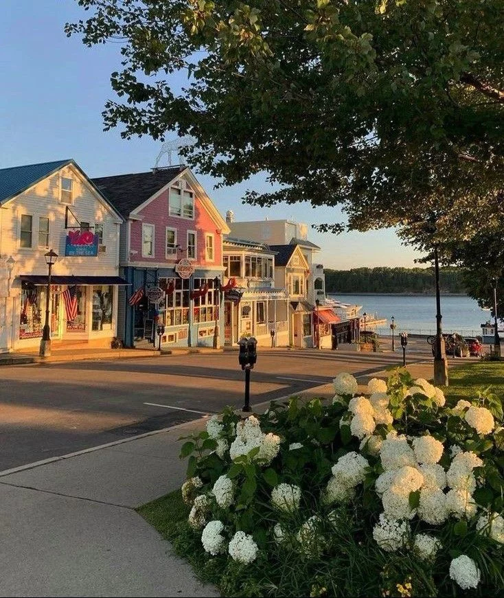This may contain: there are many shops on the street by the water and flowers in the foreground