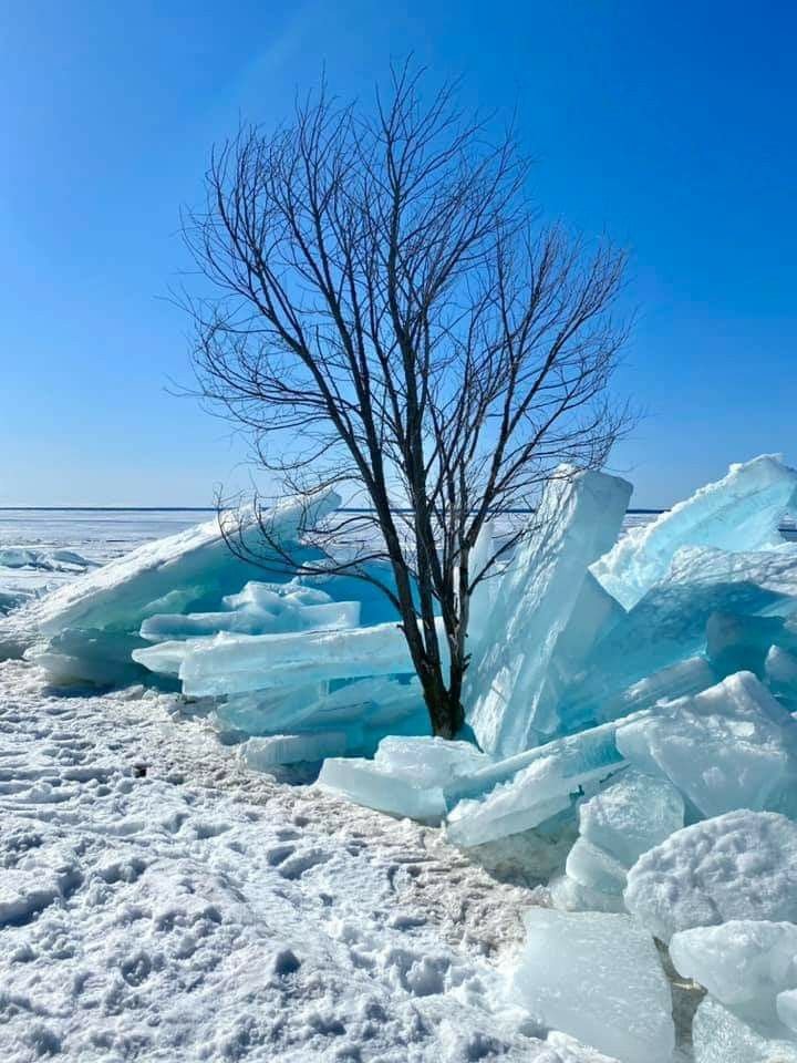 This may contain: a tree that is standing in the snow next to some ice chunks and water with blue skies behind it