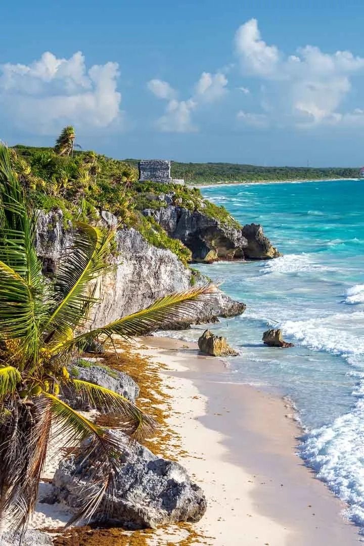 This may contain: the beach is lined with palm trees and blue water, along with white sandy shore