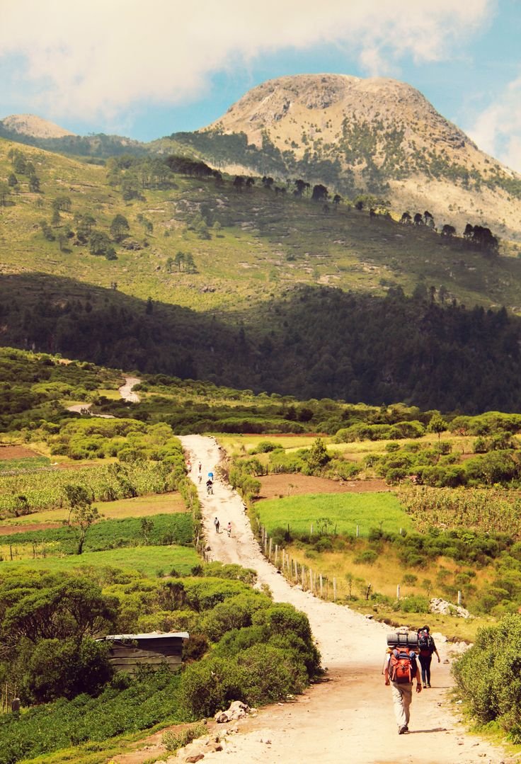 This may contain: two people walking down a dirt road in front of a mountain with grass and bushes