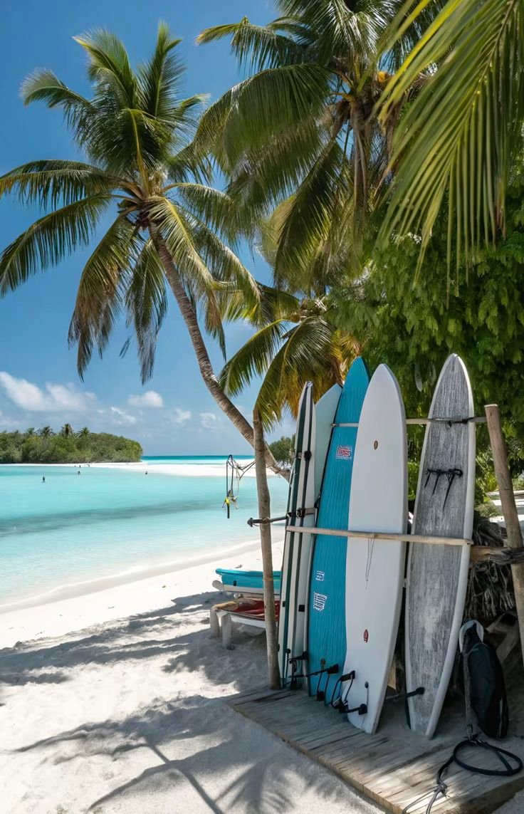 This may contain: three surfboards are lined up on the beach near palm trees and blue ocean water
