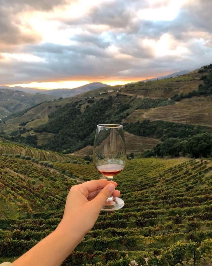 This may contain: a hand holding a glass of wine in front of a vineyard with hills and clouds