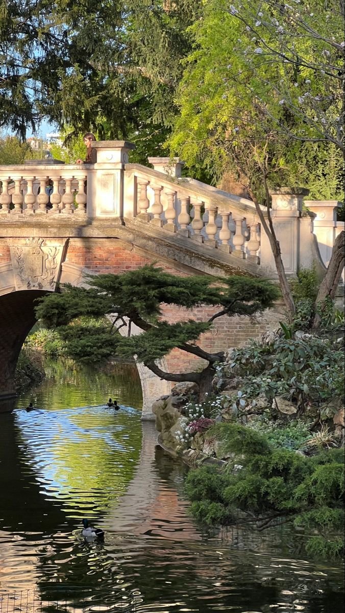 This may contain: a bridge over a body of water with trees in the background and ducks swimming under it