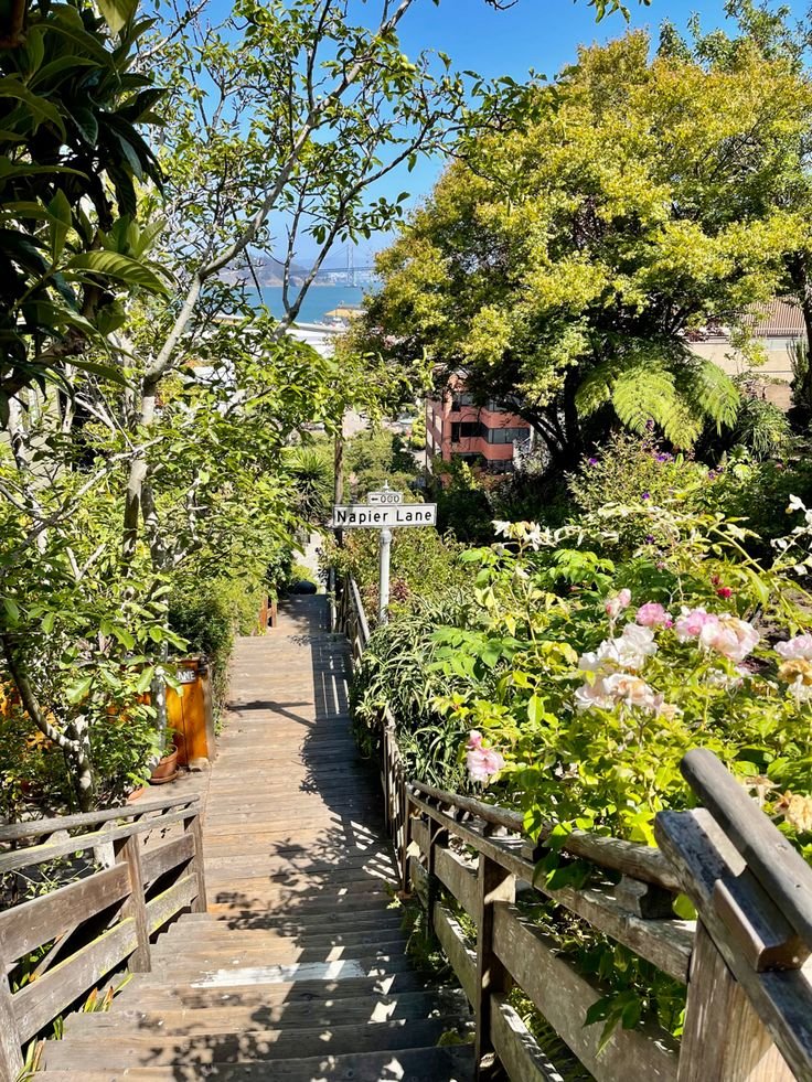 This may contain: the stairs lead down to the beach from the house in the distance are full of flowers and trees