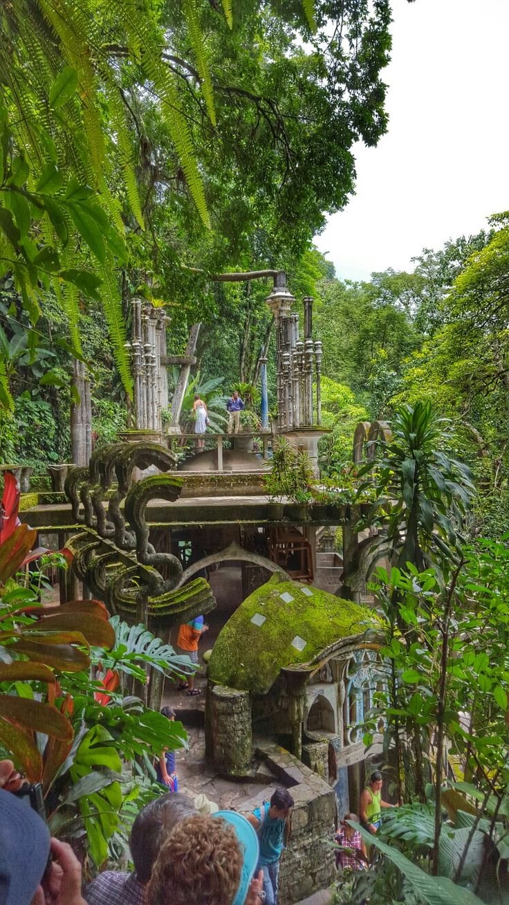 This may contain: people are standing in the jungle looking at an old structure with moss growing on it