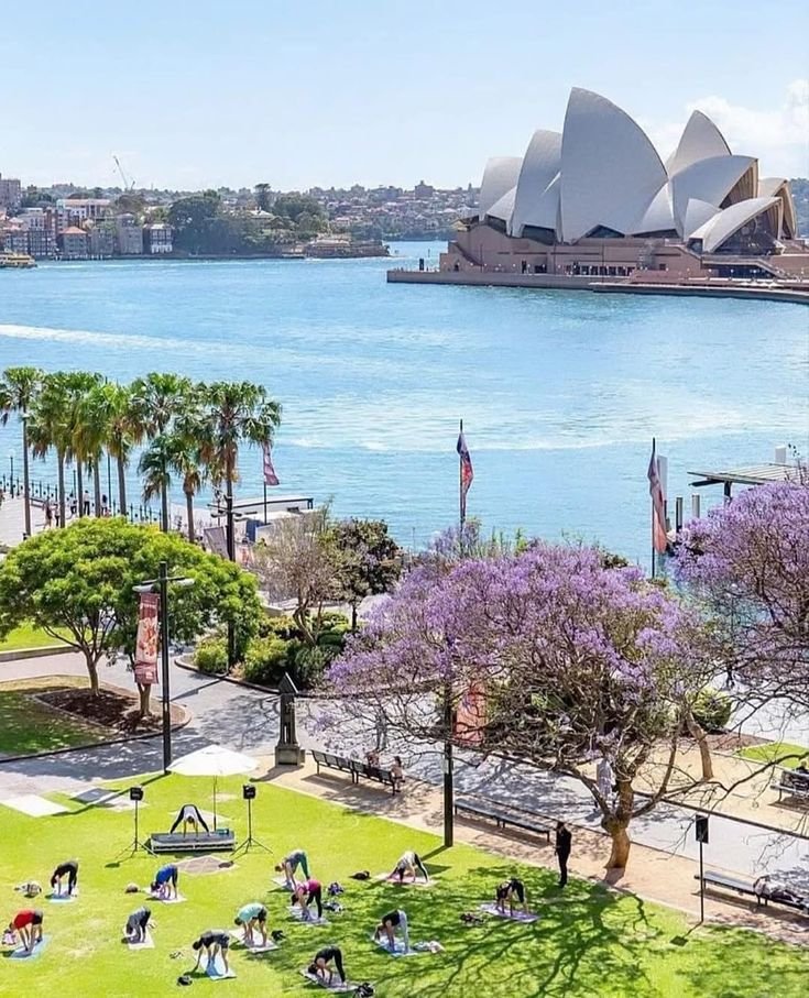 This may contain: people are sitting on the grass in front of the sydney opera house and water's edge