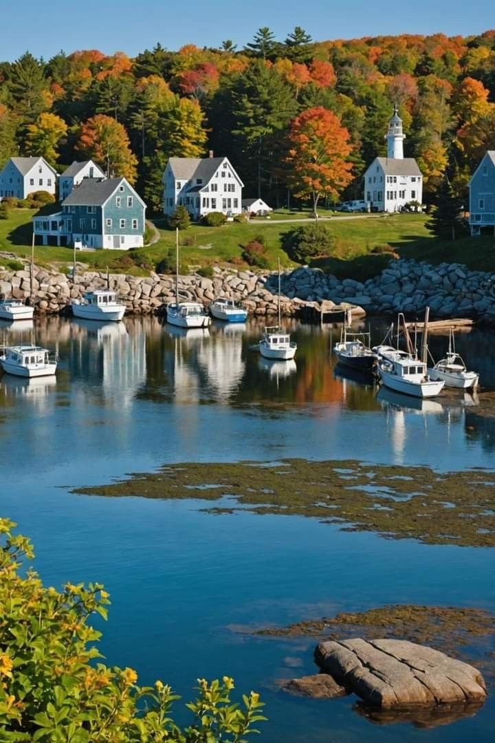 This may contain: several boats are docked in the water near houses and trees with autumn foliage around them