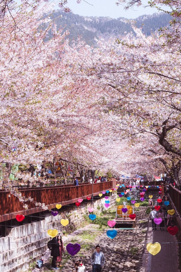 This may contain: many people are walking under the trees with umbrellas