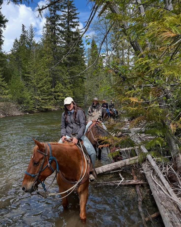 This may contain: people are riding horses through the water on a log bridge over a stream in the woods
