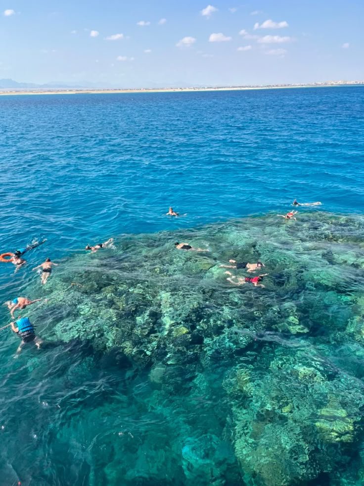 This may contain: several people swimming in the ocean near some corals and water surface with clear blue skies