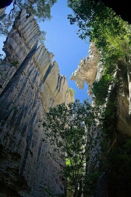 This may contain: the view looking up at some very tall rocks and trees in front of one another