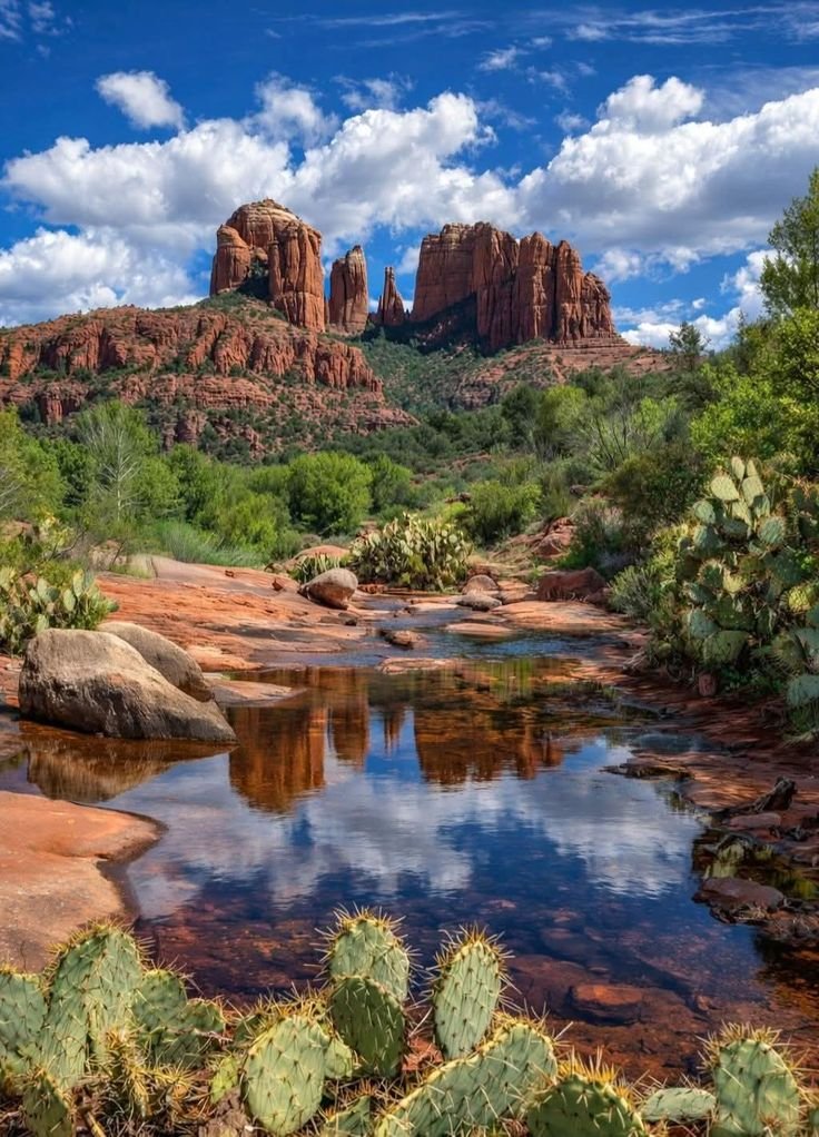 This may contain: a river surrounded by rocks and cactus trees in front of a mountain range with red rock formations
