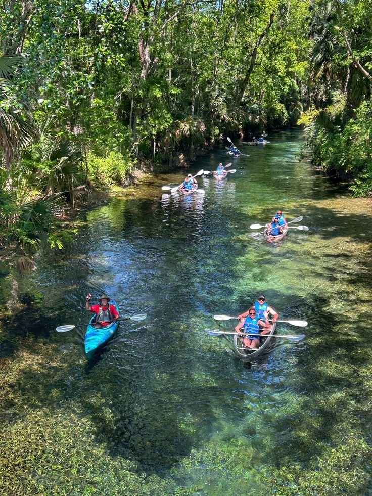 This may contain: several people in canoes paddling down a river surrounded by green trees and grass