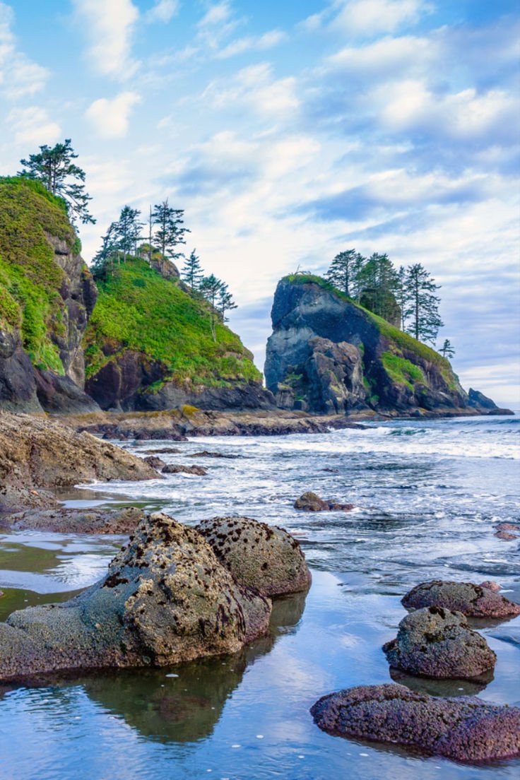 A landscape of monumental trees clad in green epiphytes, wild rivers, giant ferns, and rugged beaches awaits you on the Washington coast.
#olympicnationalpark #washington #countrywalkers