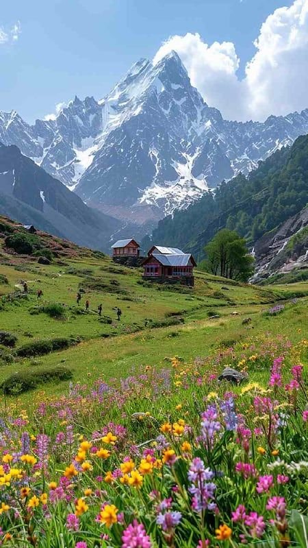 This may contain: the mountains are covered with snow capped peaks and colorful wildflowers in front of them
