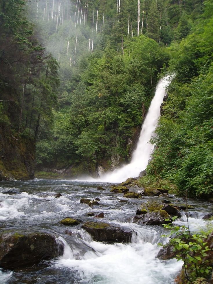 This may contain: a waterfall in the middle of a forest