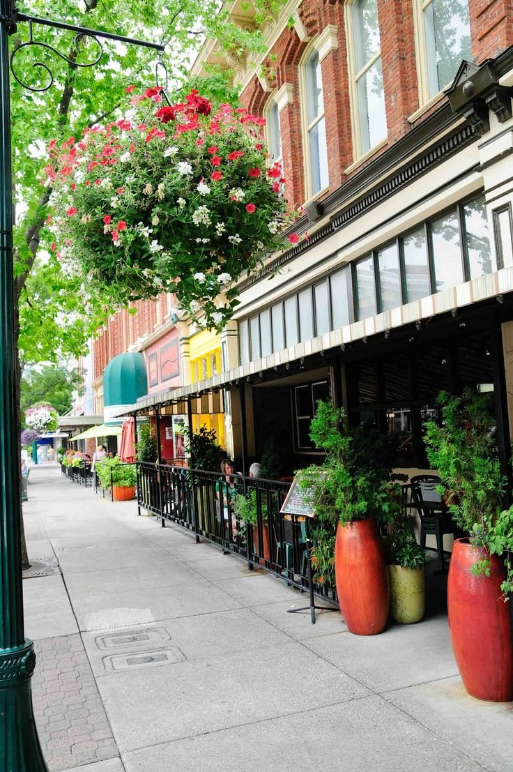 This may contain: the sidewalk is lined with potted plants and flowers