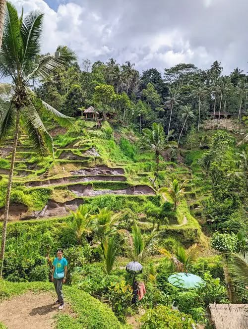 This may contain: a man standing on the side of a lush green hillside next to trees and plants