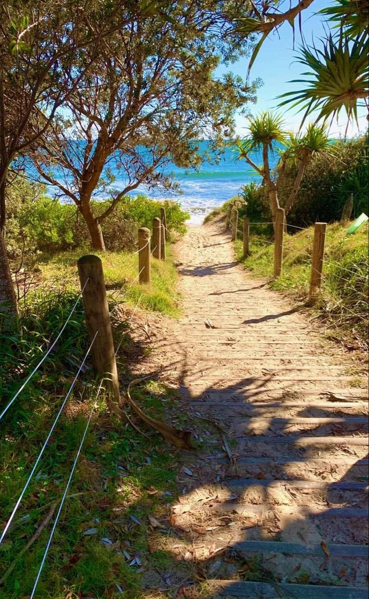 This may contain: the path to the beach is lined with trees