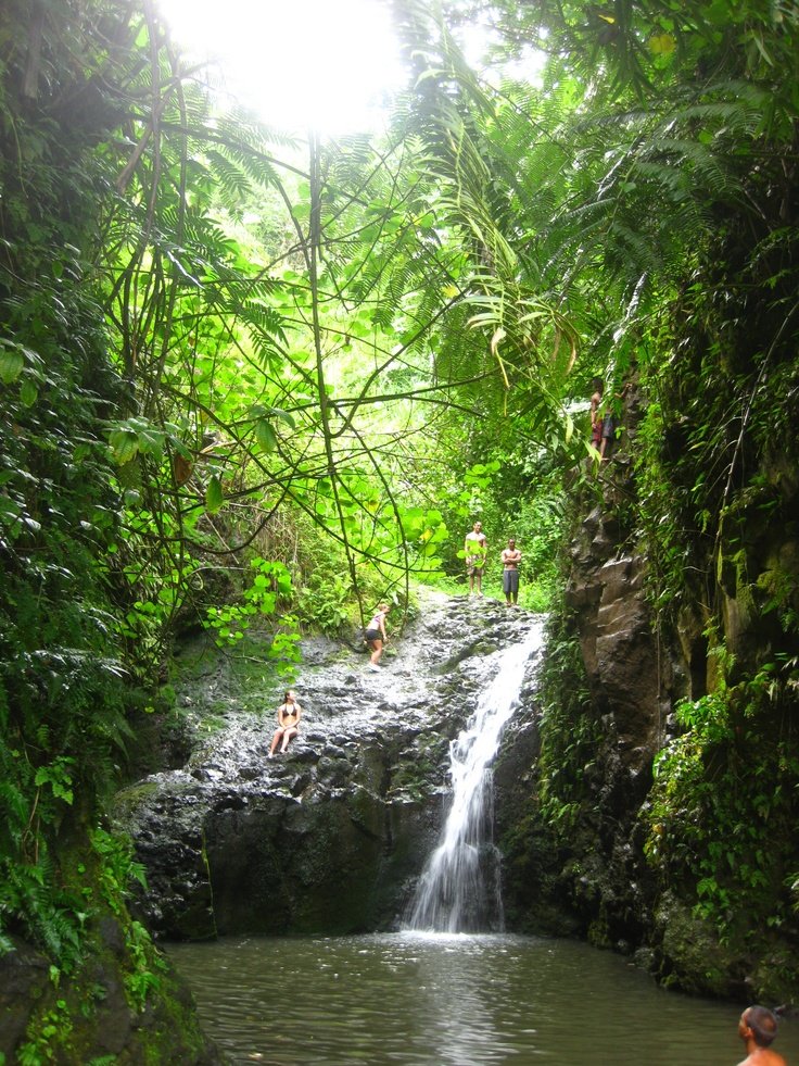 This may contain: people are swimming in the water near a waterfall and some trees with green leaves on it