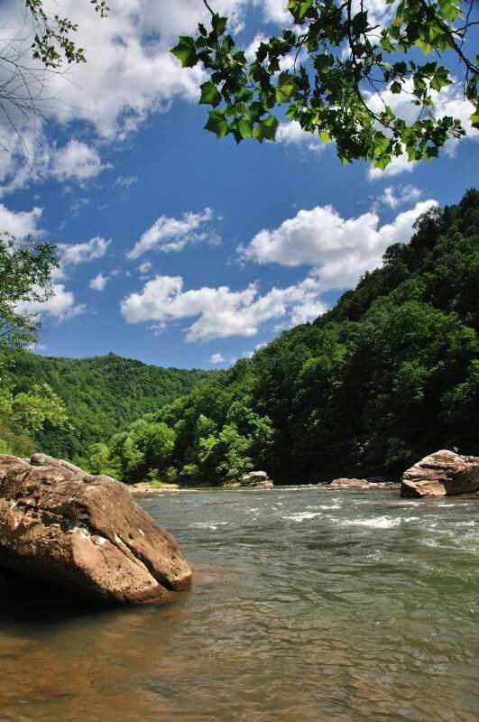 This may contain: a river with rocks in the middle and green trees around it, under a blue sky with white clouds
