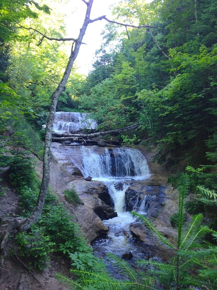 This may contain: a small waterfall in the middle of a forest