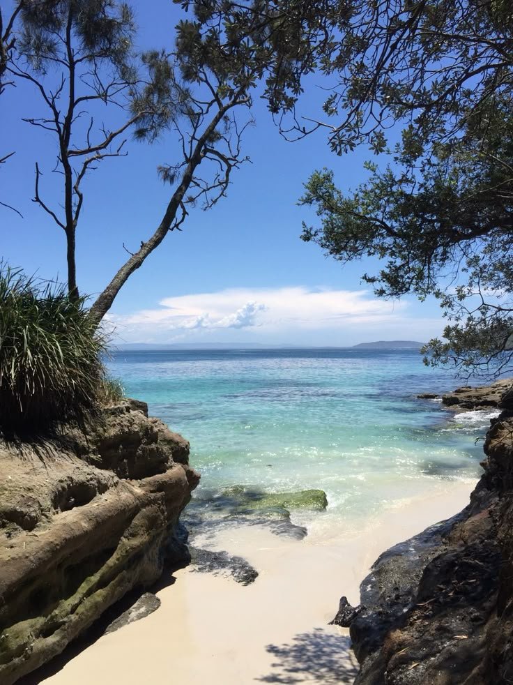 This may contain: a beach with clear blue water and trees in the foreground on a sunny day