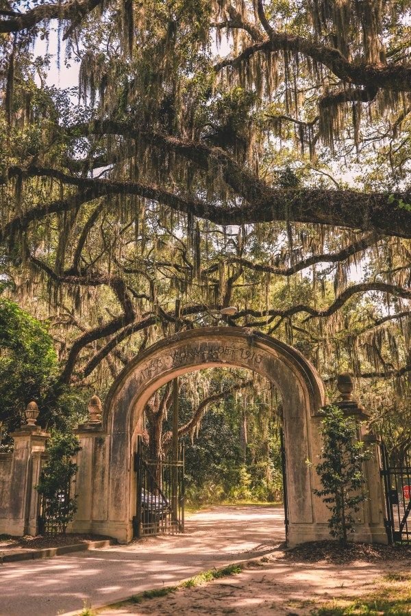This may contain: an old stone archway with moss hanging from it's sides in the middle of a park